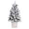 4ft. Pre-lit Frosted Ashcroft Fir Artificial Potted Christmas Tree, Clear Lights